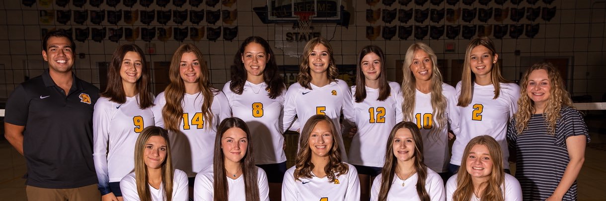 Whitmer Volleyball banner