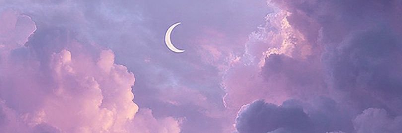 ︎𝑠𝑎𝑘𝑢𝑟𝑎 banner