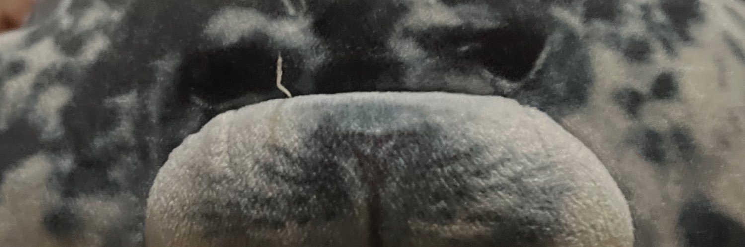 ˜”*°•phoe•°*”˜ banner