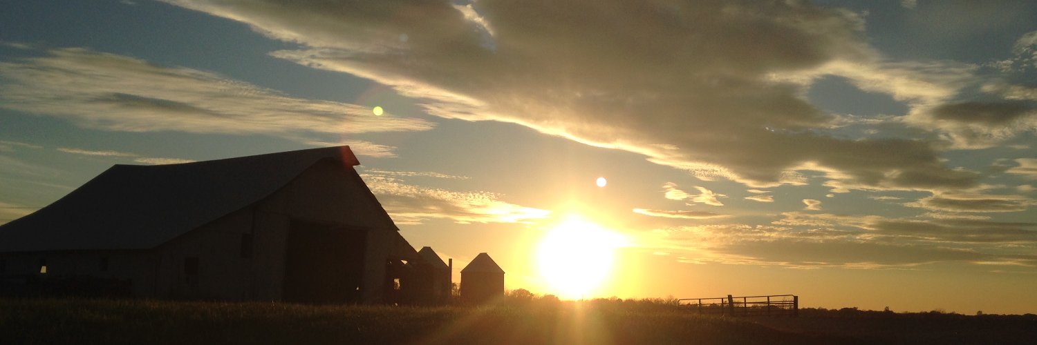 suescott's profile banner image