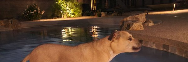 conrads411 Profile Banner