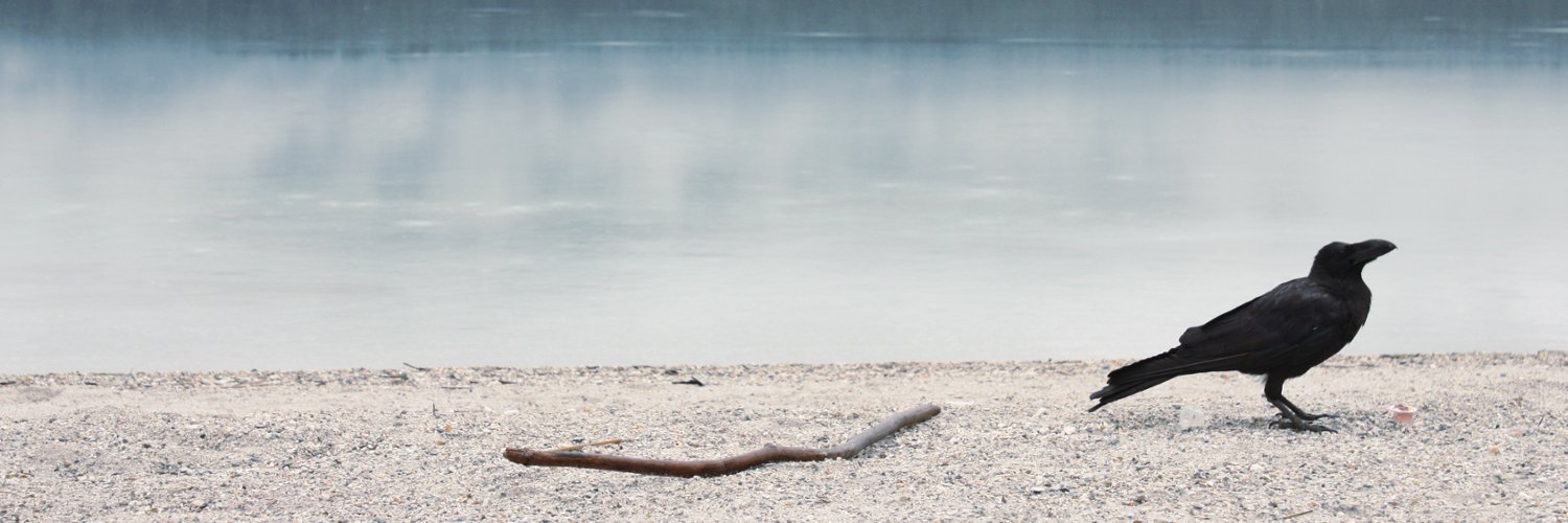 LisaArbitrary's profile banner image