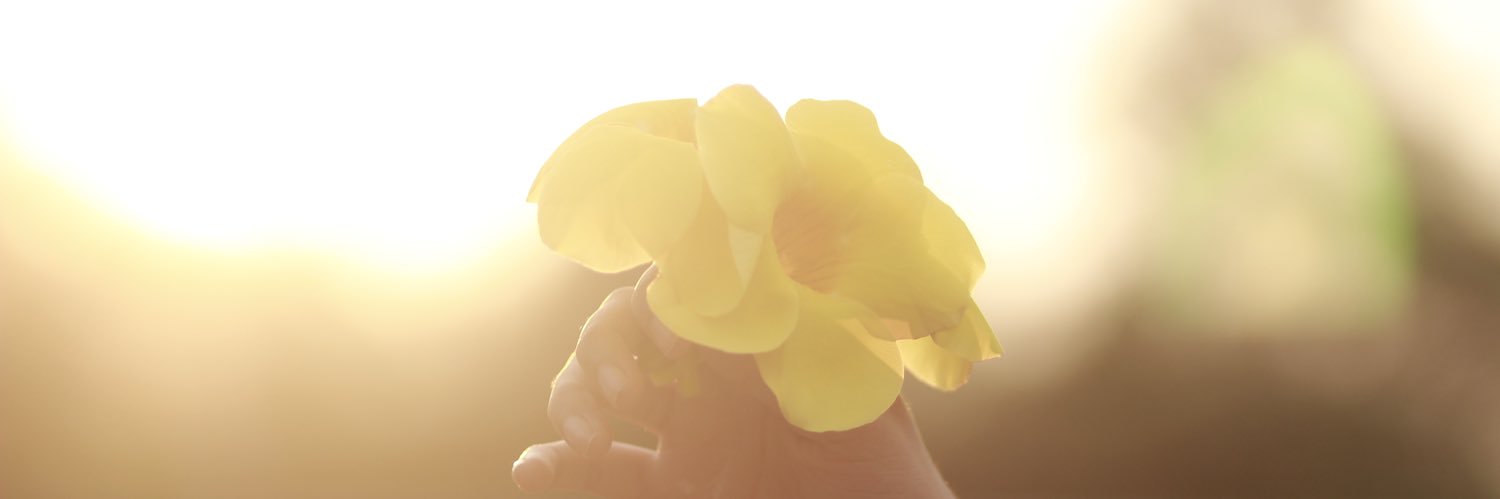 Rischaafrini's profile banner image