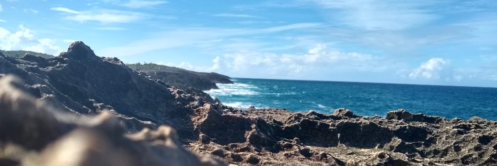 Ellena Popova, MD banner