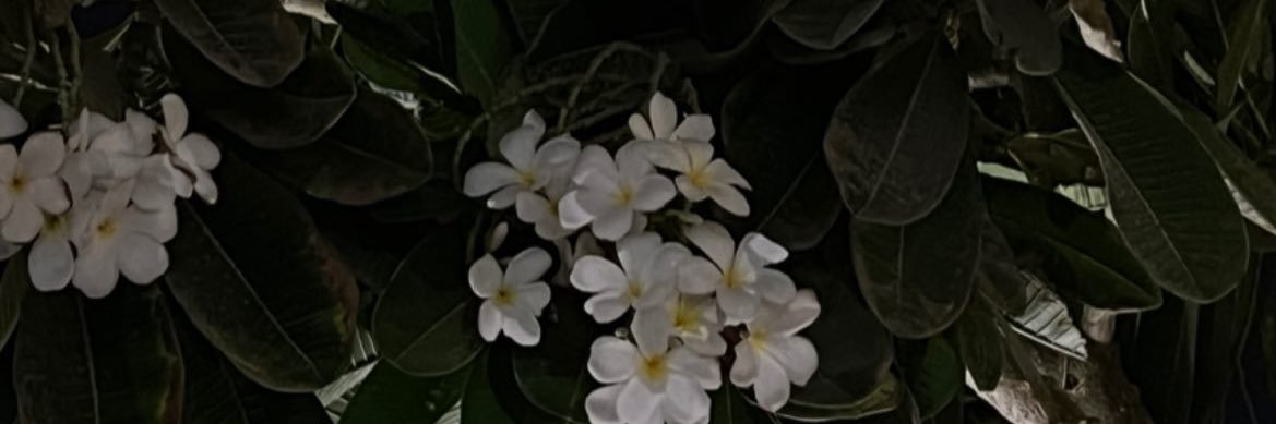 ftmmebb's profile banner image
