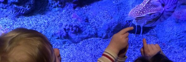 curakster Profile Banner