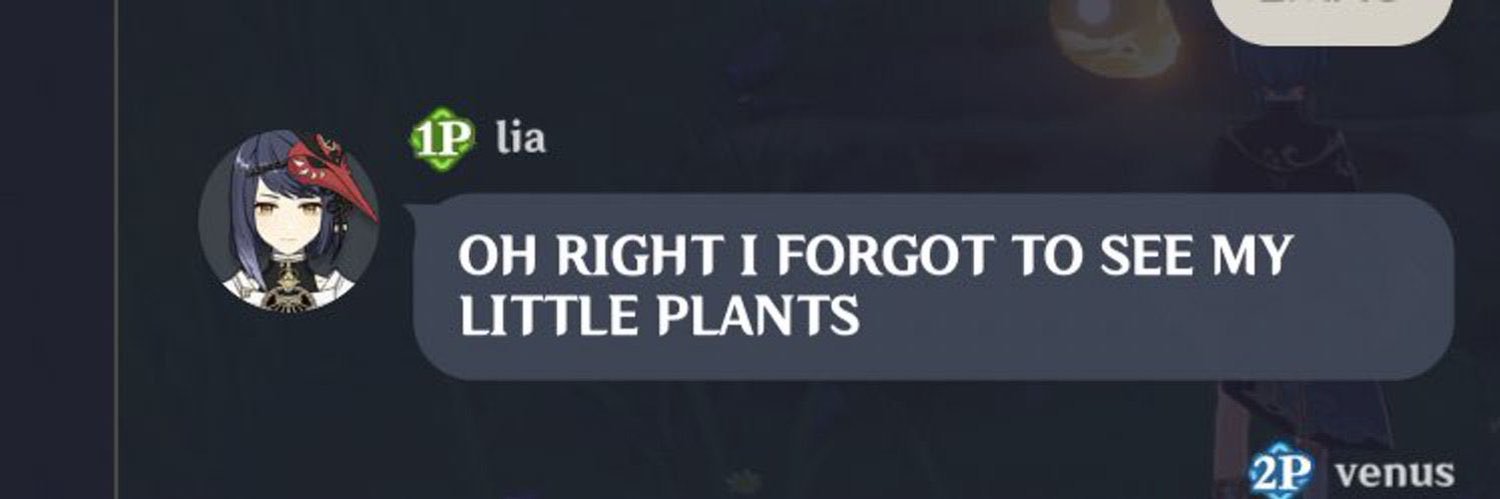 ꩜ juno banner