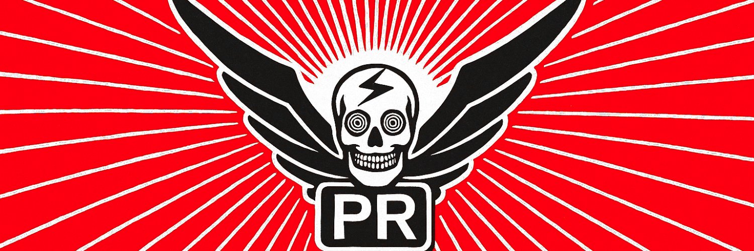 Shadaloo Propaganda Ring banner