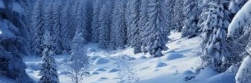 Nebraskagirl88's profile banner image