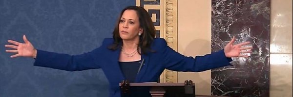 fleurdeginger Profile Banner