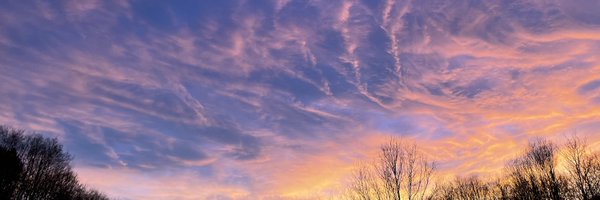 psychenathan Profile Banner