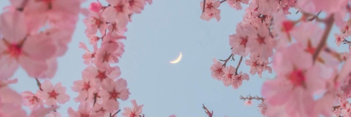 Z Soniya Hardiyani🌸 banner