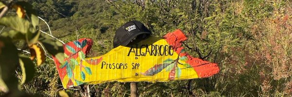 ForkForest Profile Banner