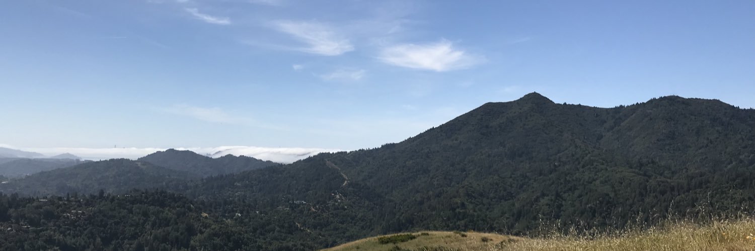 leahkcat's profile banner image