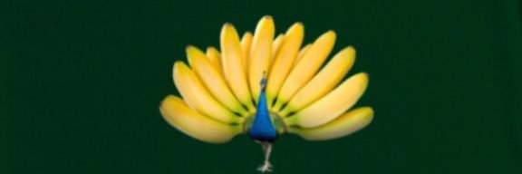 vanigarcia's profile banner image