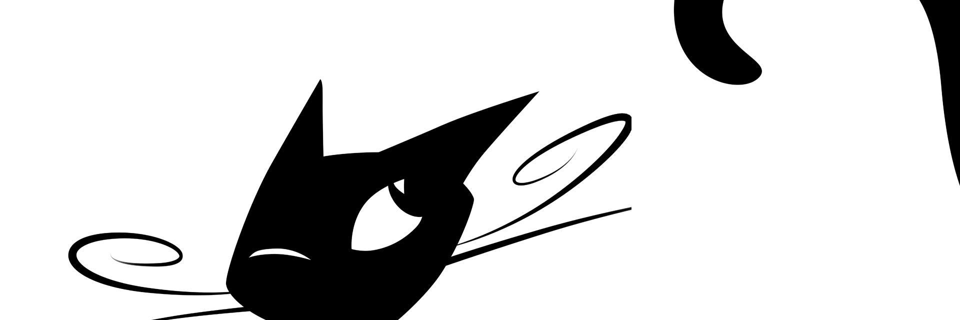 Elisa Contessotto banner