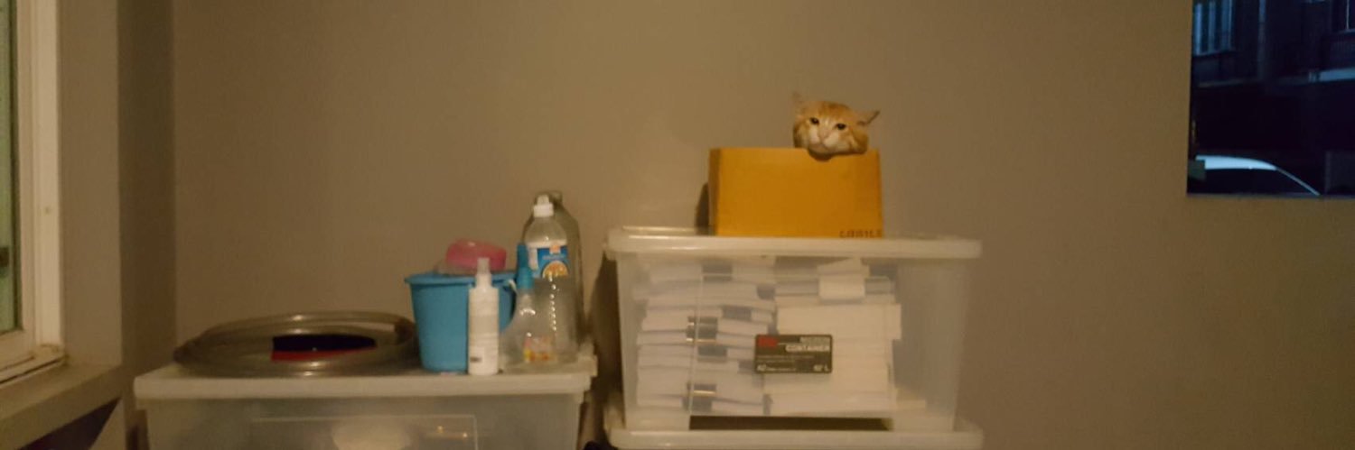 the_yellowcat's profile banner image