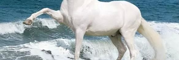 HAYDERKAMRAN's profile banner image