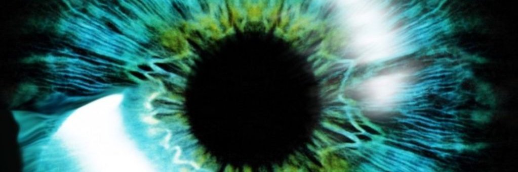 ndorphn's profile banner image