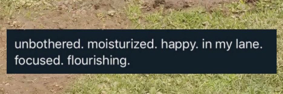 clothememe's profile banner image