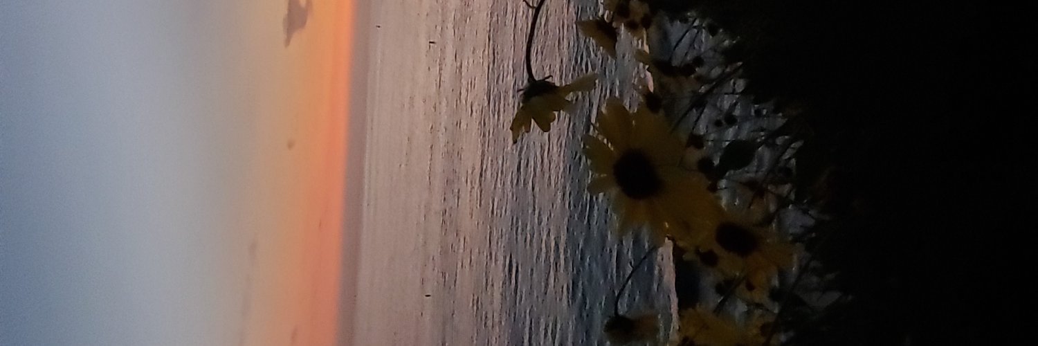 kathagswag's profile banner image