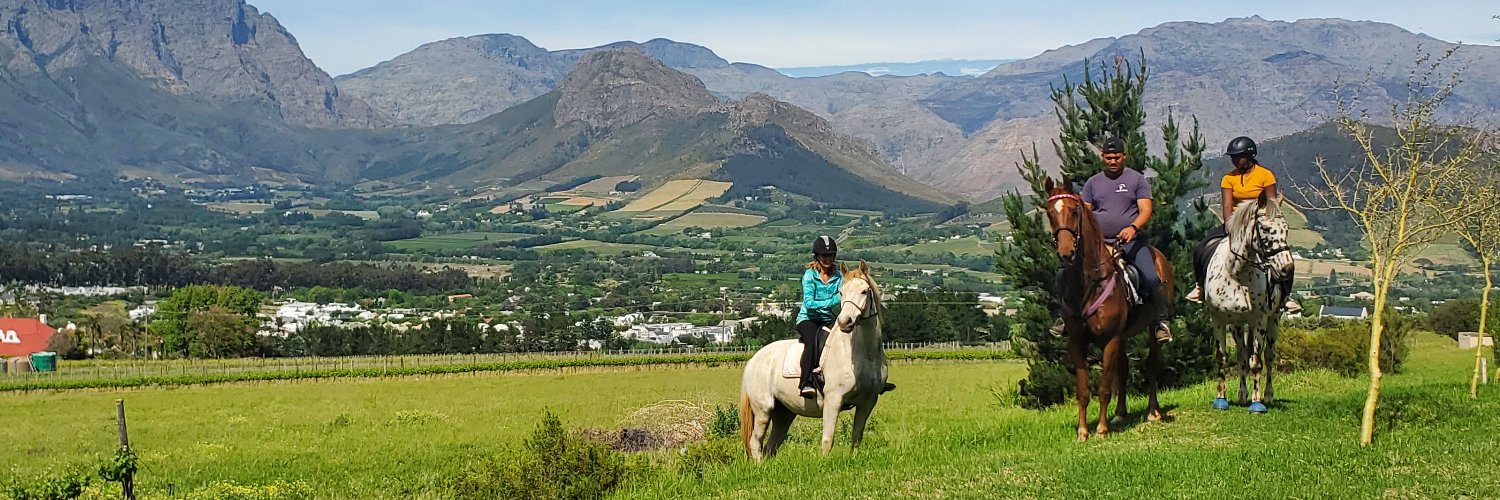 Blair Peterson banner