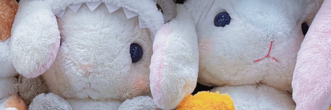 hotate0322's profile banner image