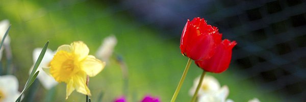 whitleyhill11 Profile Banner