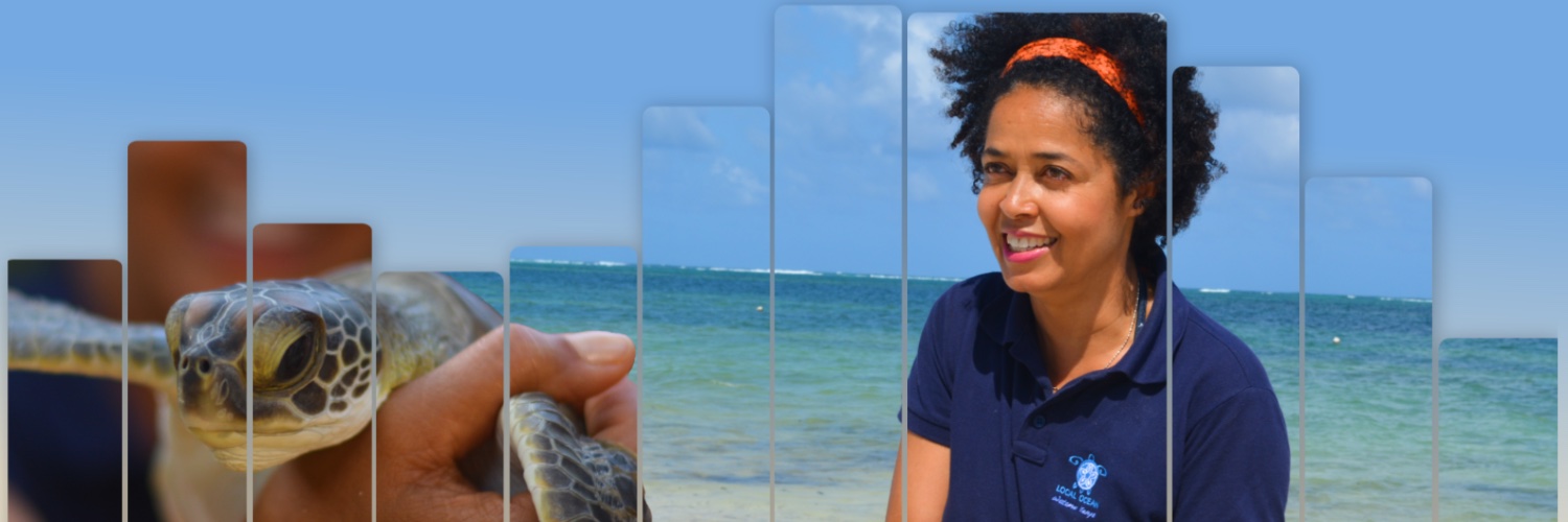 WildlifeDirect banner