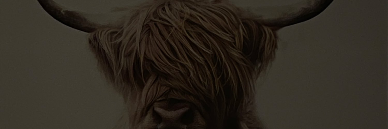 ajuarez17's profile banner image