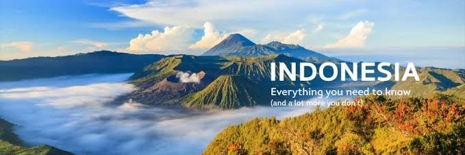 L1em 🇮🇩 banner