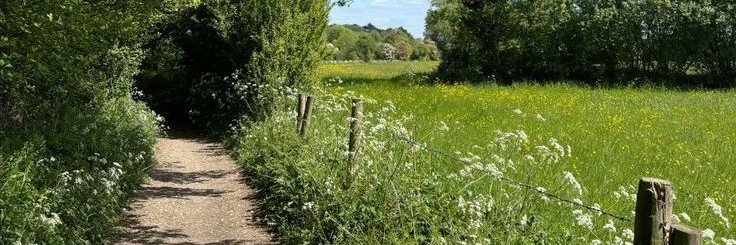 VIA 🌺 banner