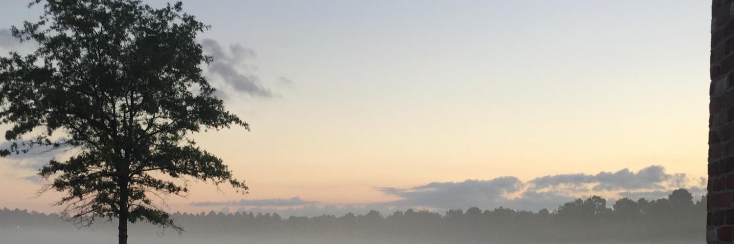 CraigSwansonVA's profile banner image