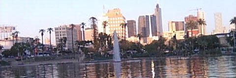 frizza_oso's profile banner image