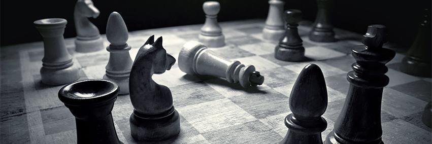 The Equedia Letter banner