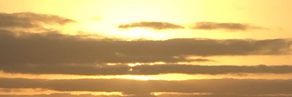 dondestestu's profile banner image