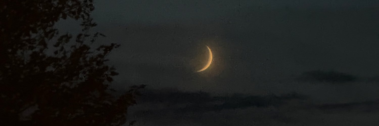 greysmints's profile banner image