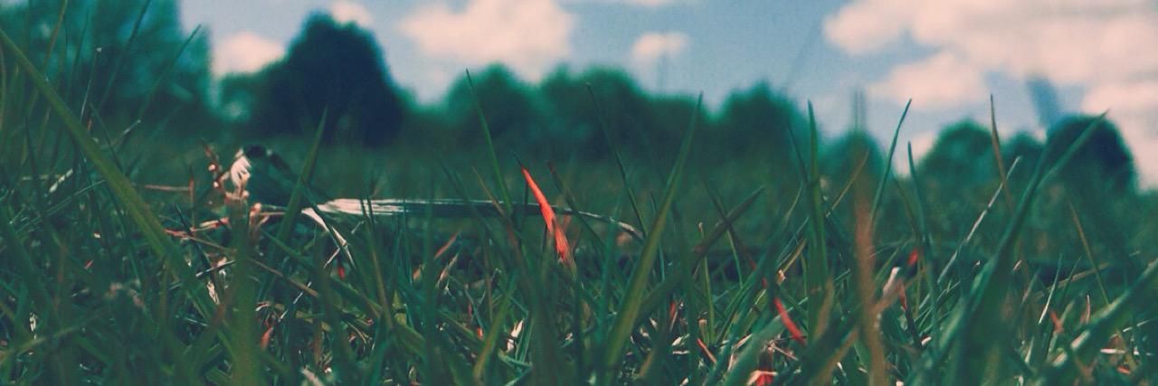 bek__c's profile banner image