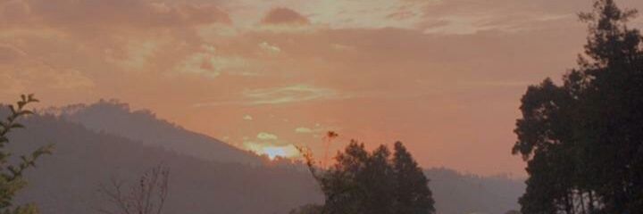 dvirn_'s profile banner image