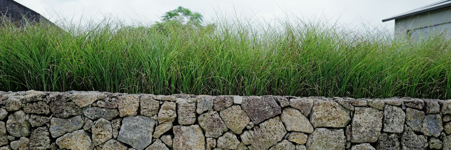 Danielcho75's profile banner image