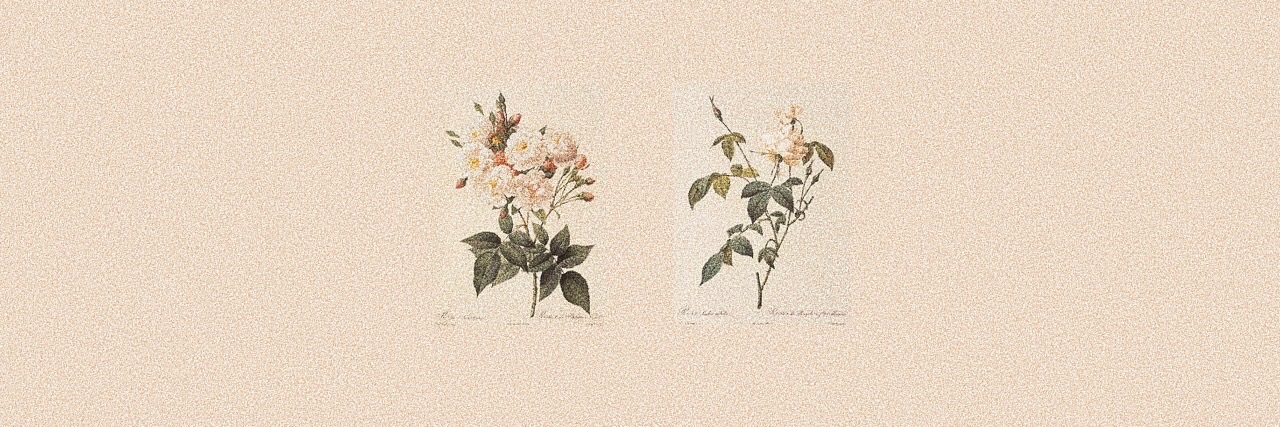 flowersnclouds's profile banner image