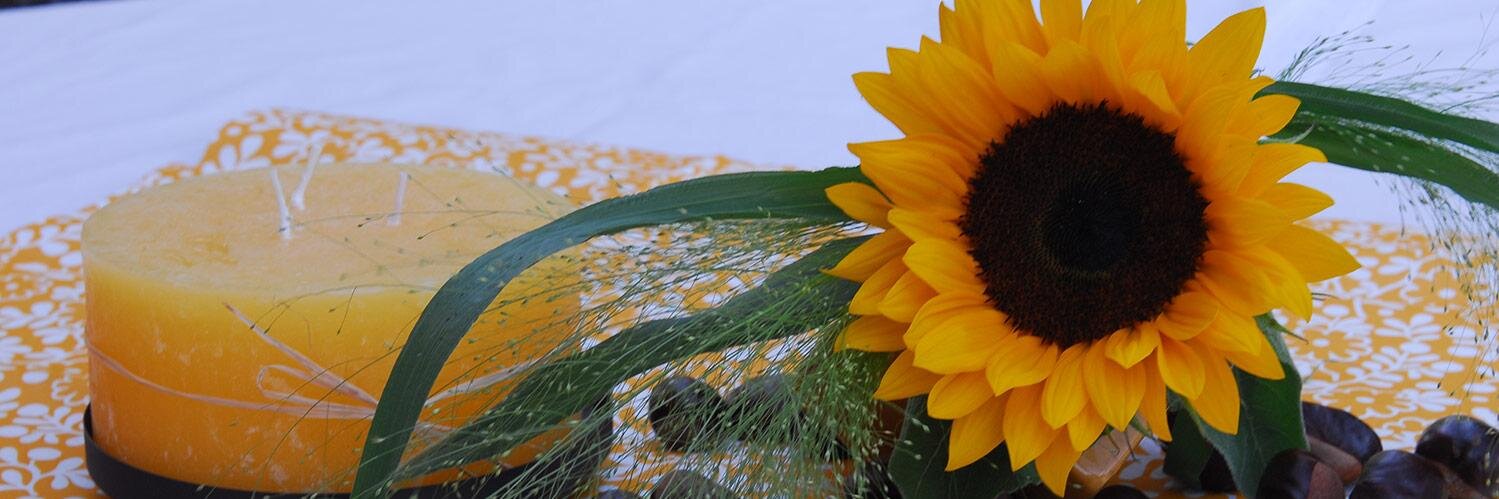 roeger's profile banner image