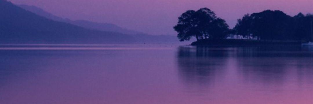 realtherapish's profile banner image