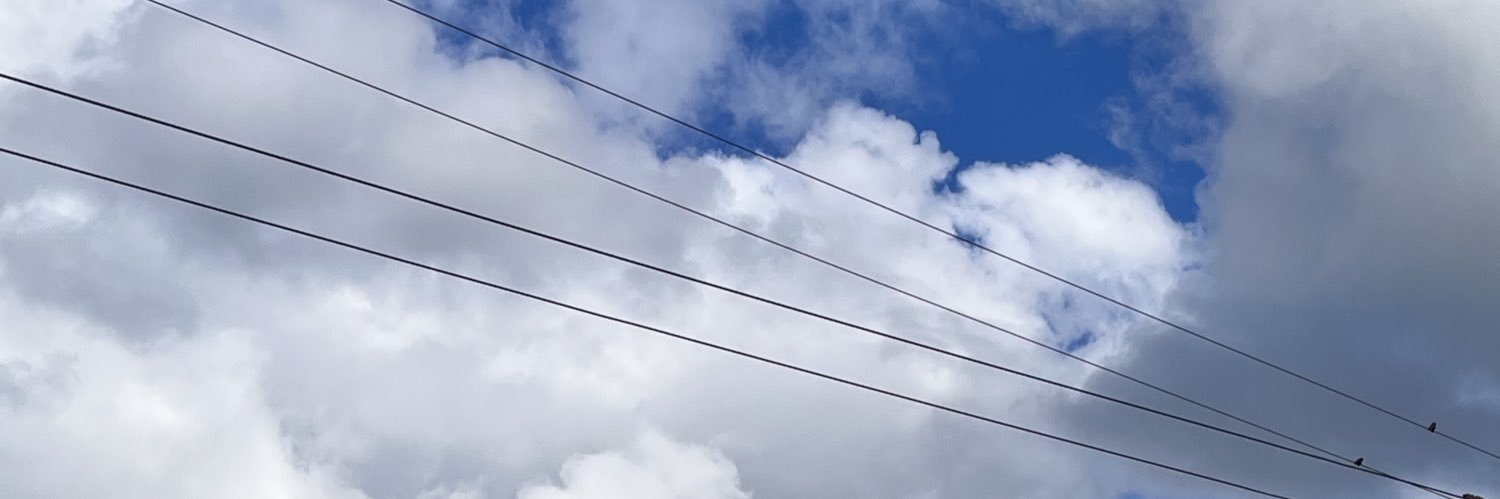 _evivie_'s profile banner image