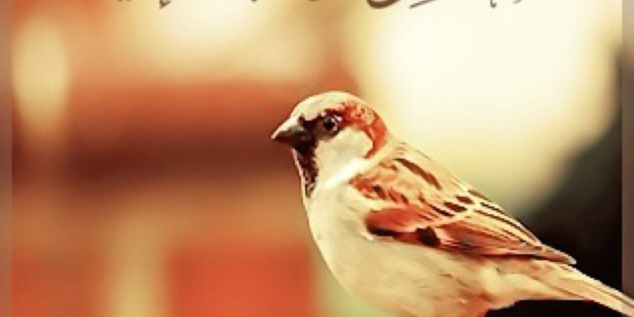 k.m banner