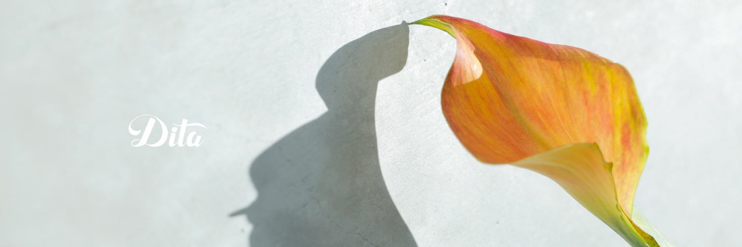 Official_DITA's profile banner image