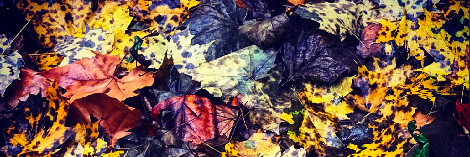 onceuponadcist's profile banner image