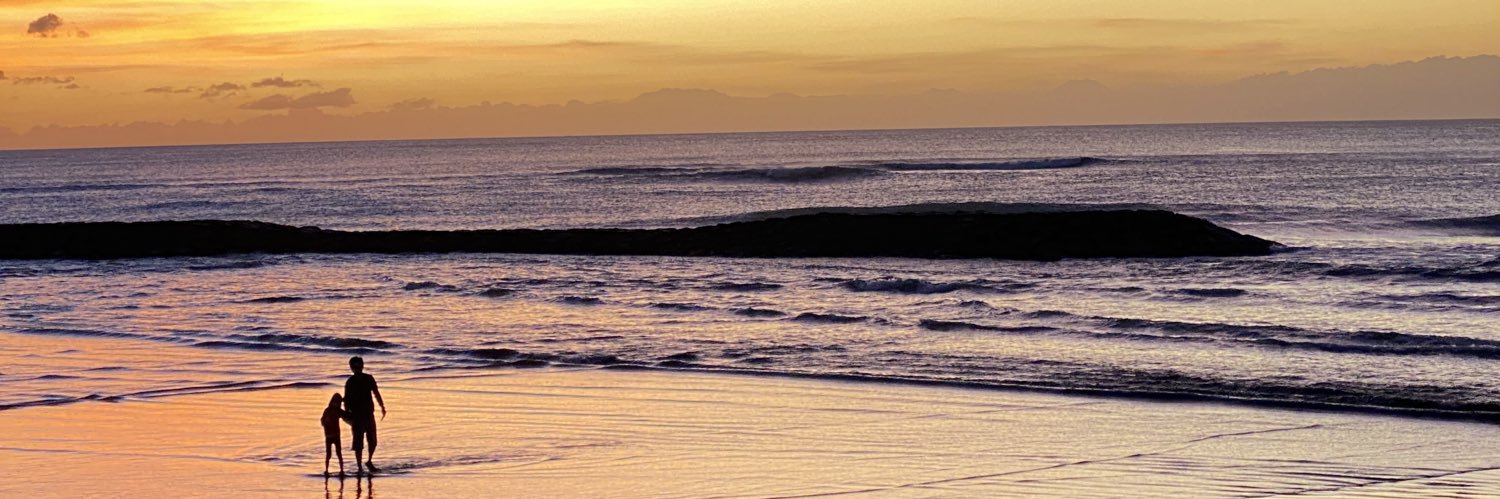 momimerr's profile banner image