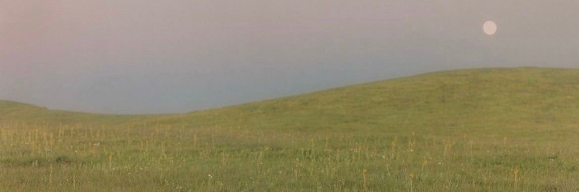 milk⁷'s banner