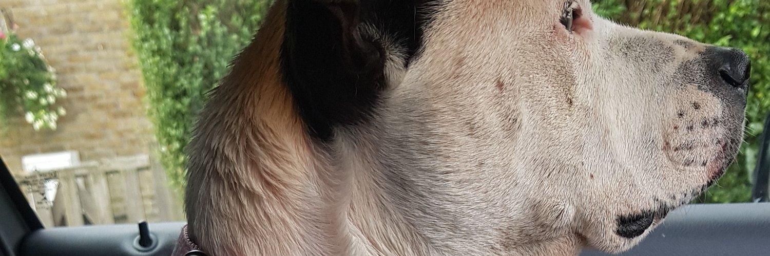Jesatakia's profile banner image